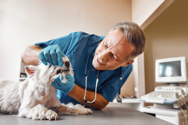 Best Emergency Treatment for Dental Infections or Abscesses in Fortville, IN